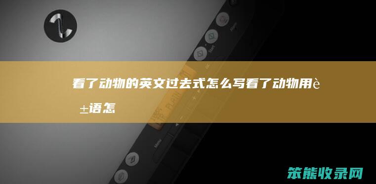 看了动物的英文过去式怎么写（看了动物用英语怎么说）