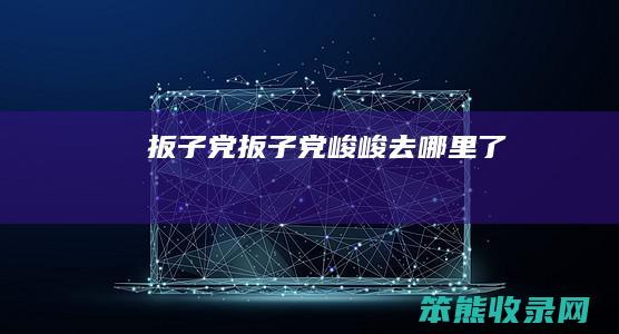 扳子党（扳子党峻峻去哪里了）