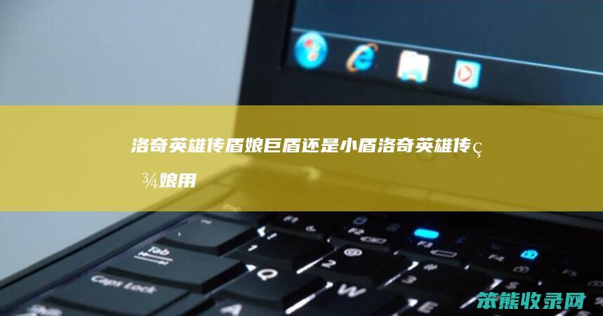 洛奇英雄传盾娘巨盾还是小盾（洛奇英雄传盾娘用什么武器）