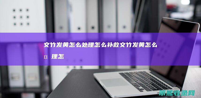 文竹发黄怎么处理怎么补救（文竹发黄怎么处理怎么补救呢）