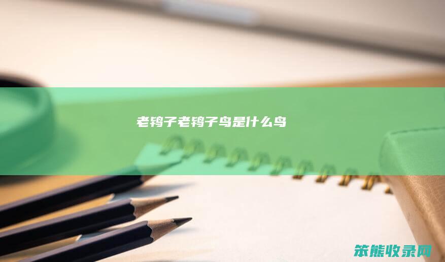 老鸨子老鸨子鸟是鸟