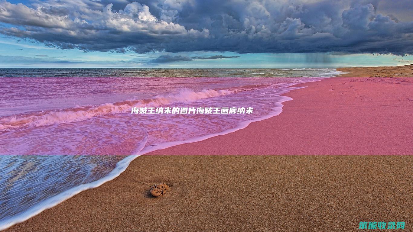 海贼王纳米的图片（海贼王画廊纳米）