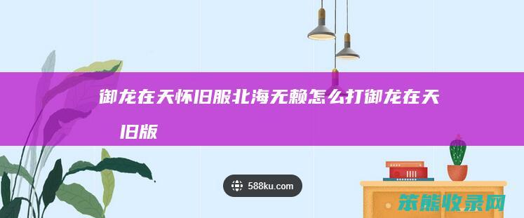 御龙在天怀旧服北海无赖怎么打（御龙在天怀旧版boss刷新点）