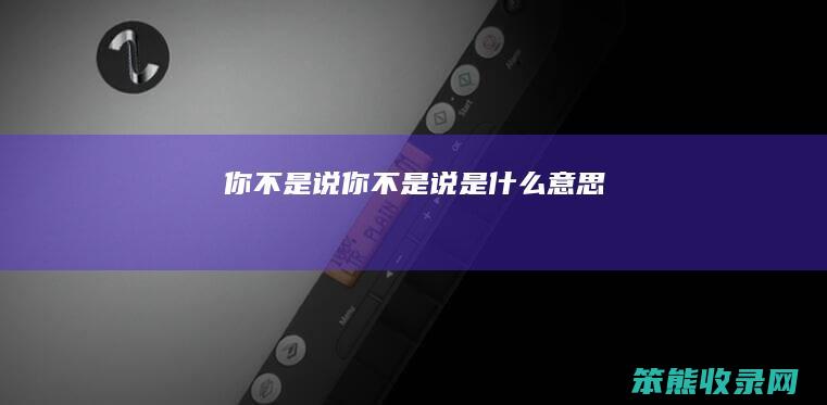 你不是说（你不是说是什么意思）