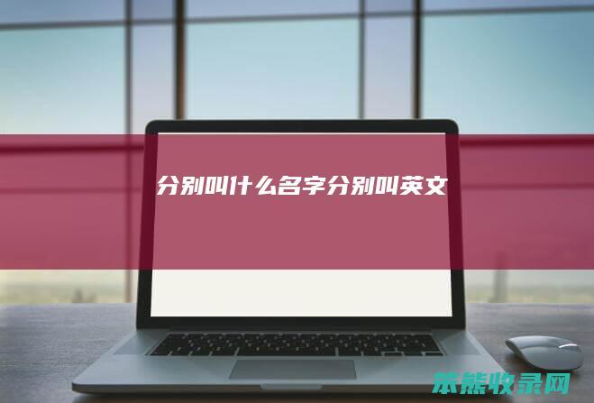 分别叫什么名字（分别叫英文）