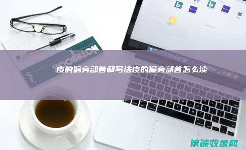 皮的偏旁部首和写法（皮的偏旁部首怎么读）