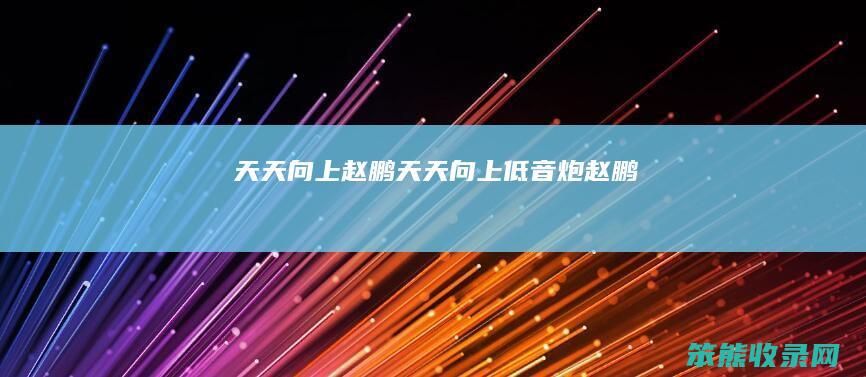 天天向上赵鹏（天天向上低音炮赵鹏）