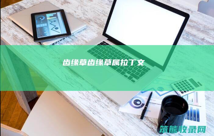 齿缘草（齿缘草属拉丁文）