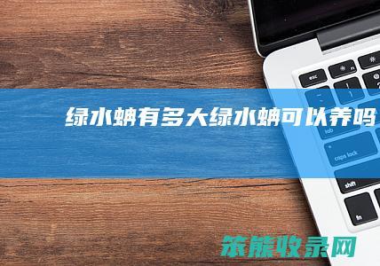 绿水蚺有多大（绿水蚺可以养吗）