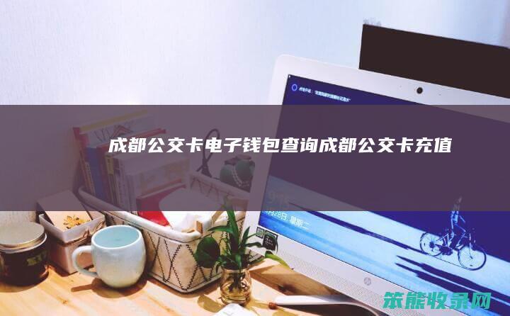 成都公交卡电子钱包查询（成都公交卡充值）