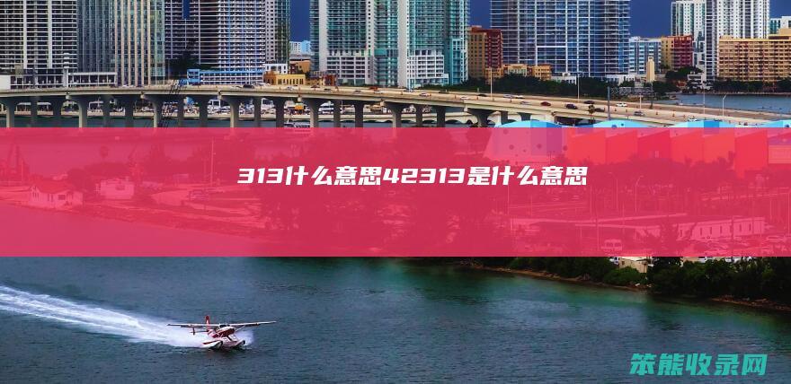 313什么意思（42313是什么意思）
