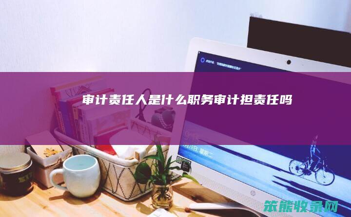审计责任人是什么职务（审计担责任吗）