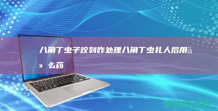 八角丁虫子咬到咋处理（八角丁虫扎人后用什么药）