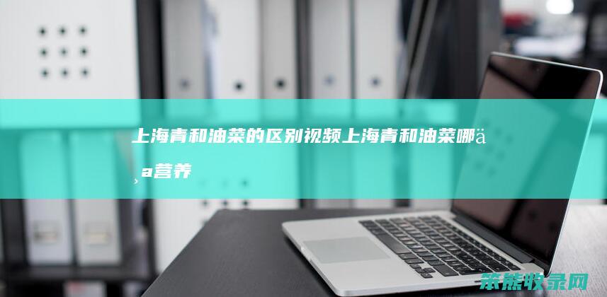 上海青和油菜的区别视频（上海青和油菜哪个营养价值高）