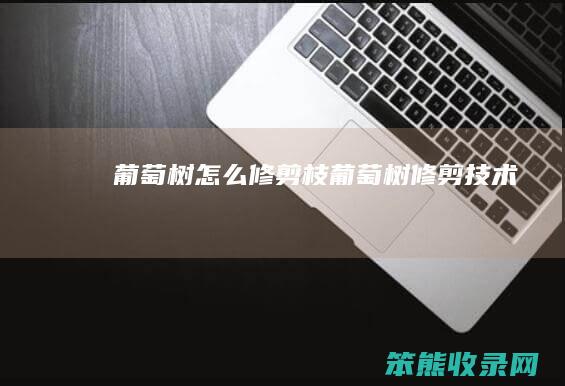 葡萄树怎么修剪枝葡萄树修剪技术