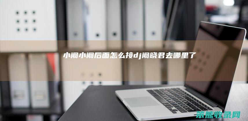 小阚小阚后面怎么接（dj阚晓君去哪里了）