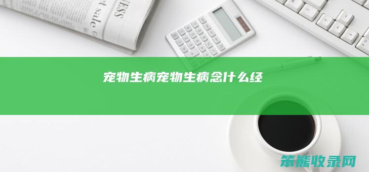 宠物生病（宠物生病念什么经）