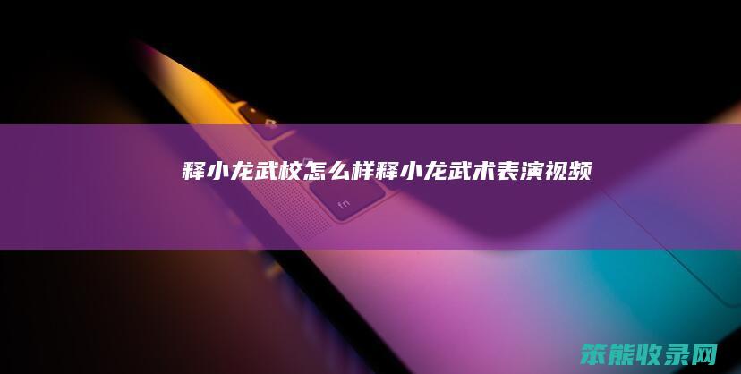 释小龙武校怎么样（释小龙武术表演视频）