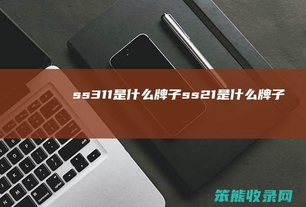 ss311是什么牌子（ss21是什么牌子）