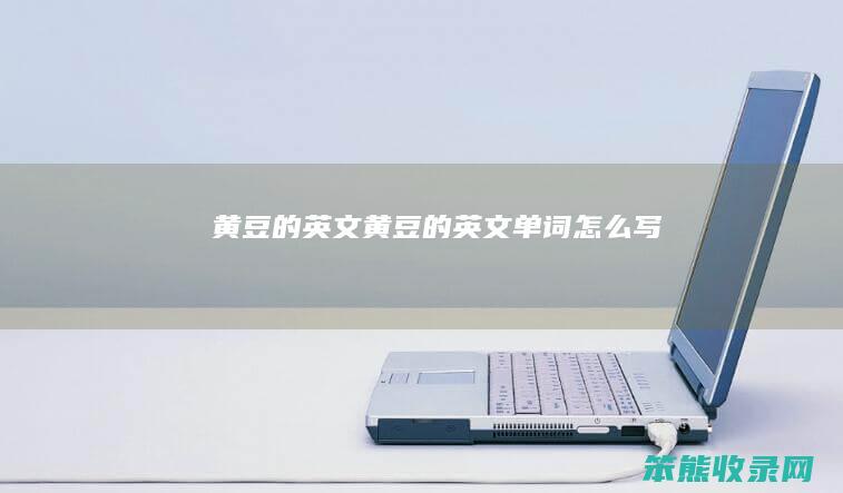 黄豆的英文（黄豆的英文单词怎么写）