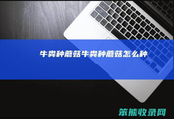 牛粪种蘑菇（牛粪种蘑菇怎么种）