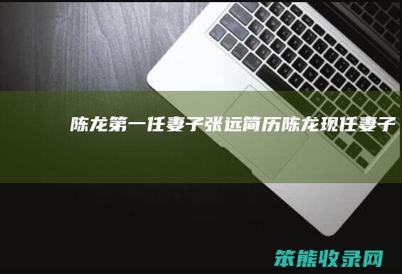 陈龙第一任妻子张远简历（陈龙现任妻子）