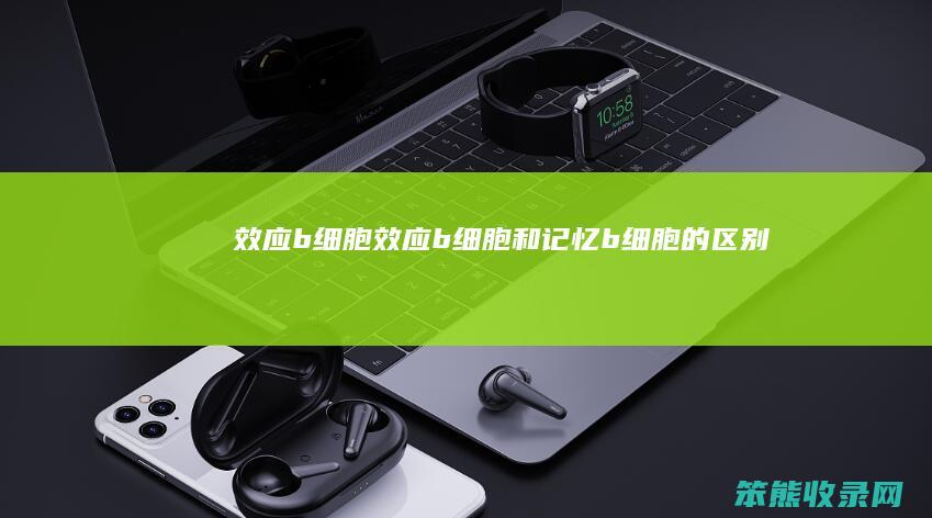 效应b细胞（效应b细胞和记忆b细胞的区别）