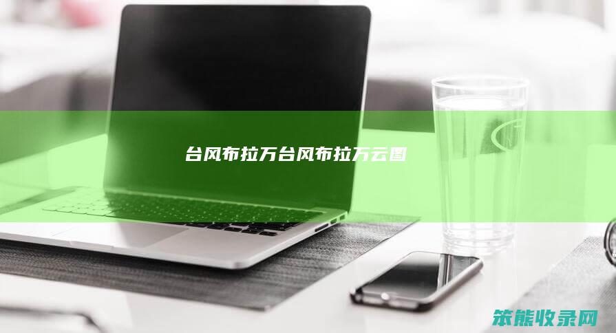 台风布拉万（台风布拉万云图）