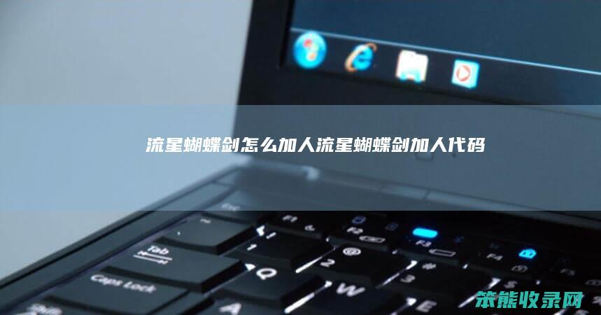 流星蝴蝶剑怎么加人（流星蝴蝶剑加人代码）