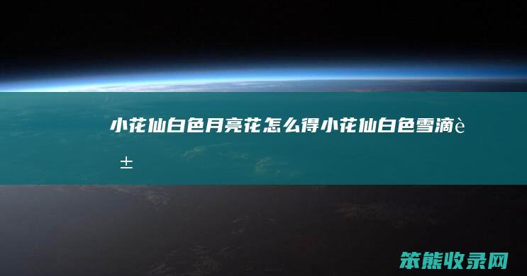 小花仙白色月亮花怎么得（小花仙白色雪滴花）
