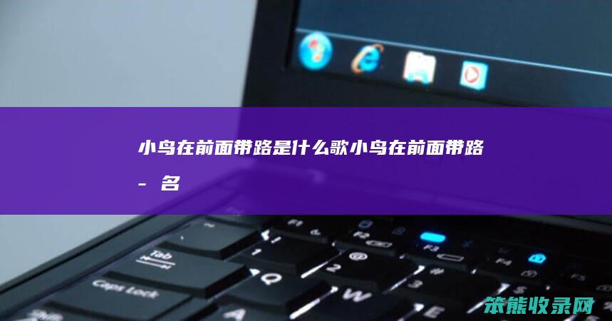 小鸟在前面带路是什么歌（小鸟在前面带路歌名）