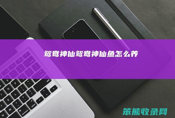 鸳鸯神仙（鸳鸯神仙鱼怎么养）