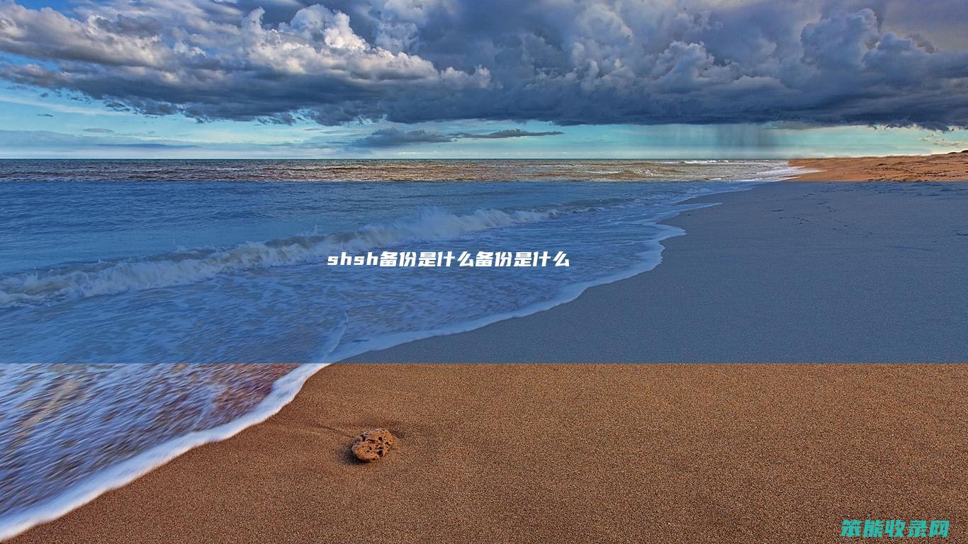 shsh备份是什么（备份是什么）