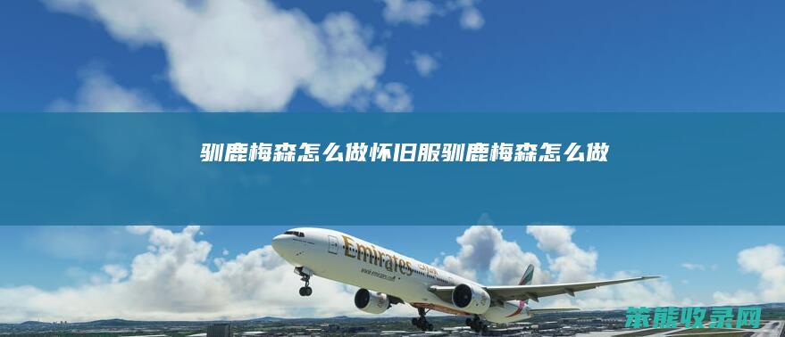 驯鹿梅森怎么做(怀旧服驯鹿梅森怎么做)