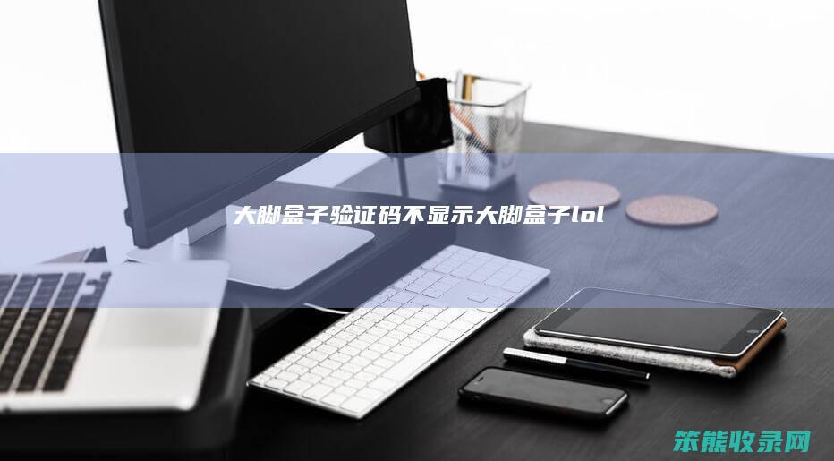 大脚盒子验证码不显示（大脚盒子lol）