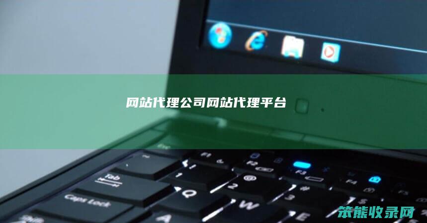 网站代理公司（网站代理平台）