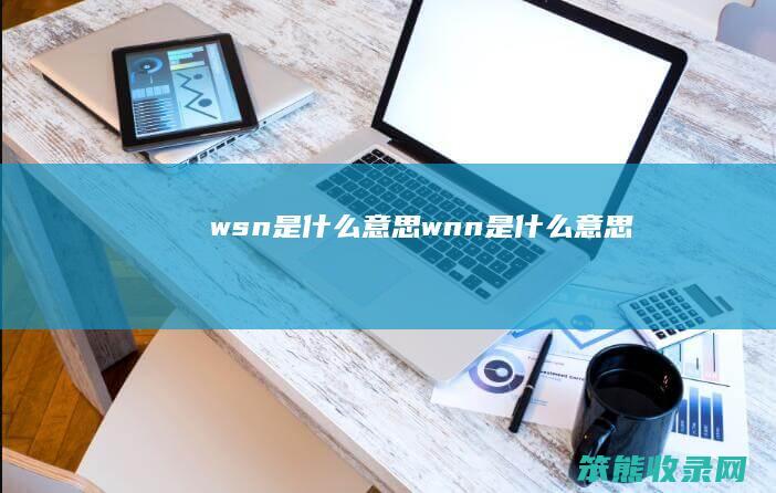 wsn是什么意思（wnn是什么意思）