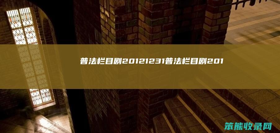 普法栏目剧20121231（普法栏目剧2012万家灯火）