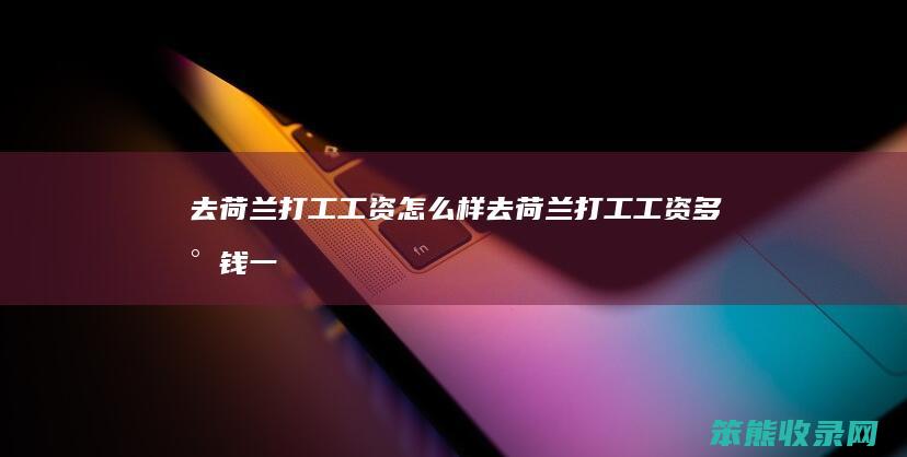去荷兰打工工资怎么样（去荷兰打工工资多少钱一个月）