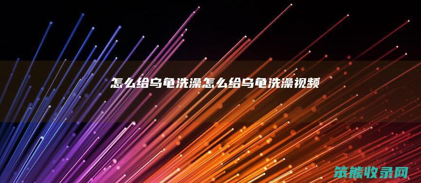 怎么给乌龟洗澡（怎么给乌龟洗澡视频）