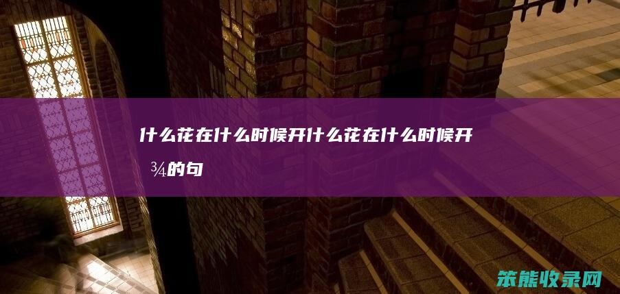 什么花在什么时候开（什么花在什么时候开放的句子）