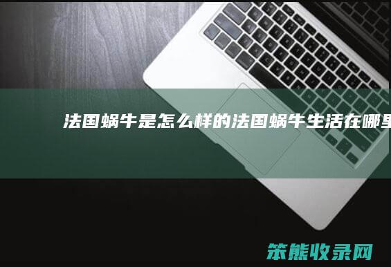 法国蜗牛是怎么样的（法国蜗牛生活在哪里）