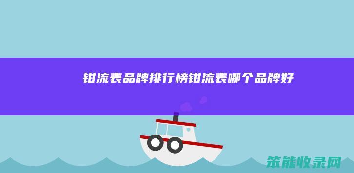 钳流表品牌排行榜(钳流表哪个品牌好)