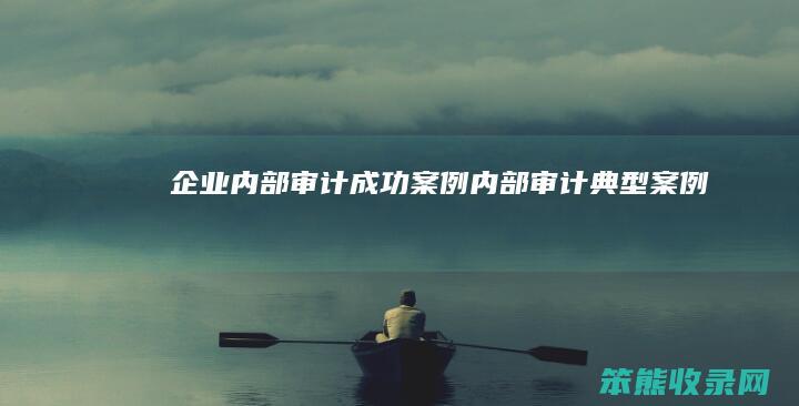 企业内部审计成功案例（内部审计典型案例）