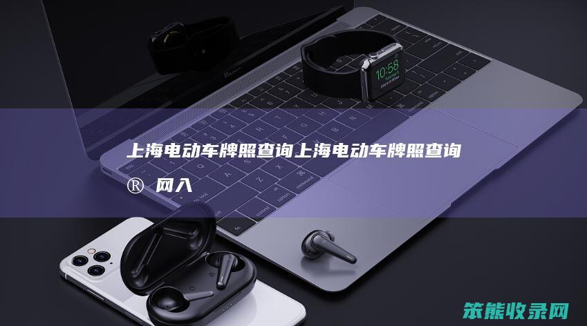 上海电动车牌照查询（上海电动车牌照查询官网入口）