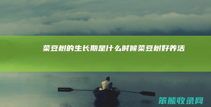 菜豆树的生长期是什么时候（菜豆树好养活吗）