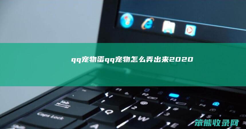 qq宠物蛋（qq宠物怎么弄出来2020）