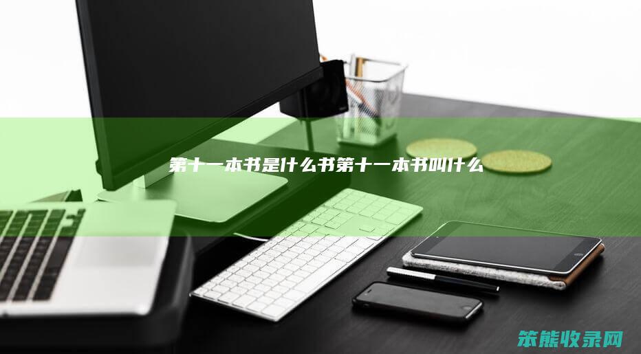 第十一本书是什么书（第十一本书叫什么）