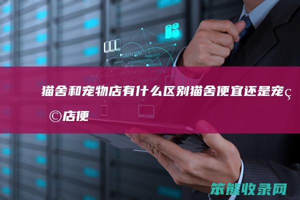 猫舍和宠物店有什么区别（猫舍便宜还是宠物店便宜）