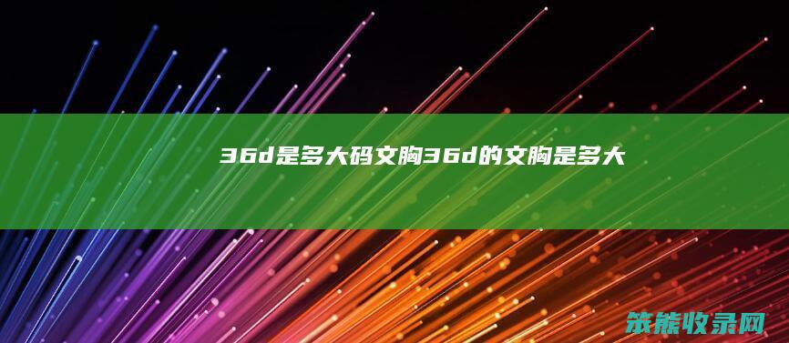 36d是多大码文胸（36d的文胸是多大）